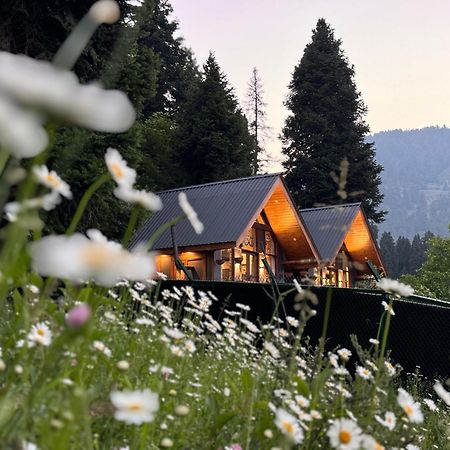 Villa Solomons Gray Tangmarg Esterno foto