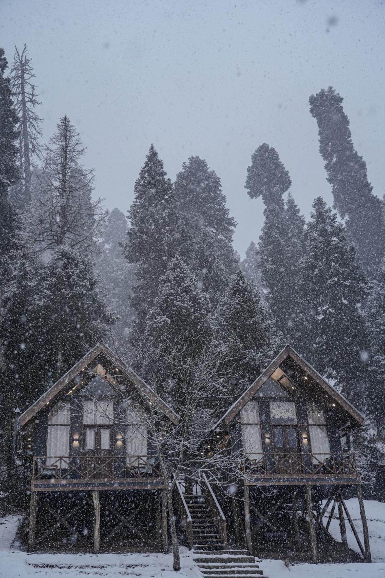 Villa Solomons Gray Tangmarg Esterno foto