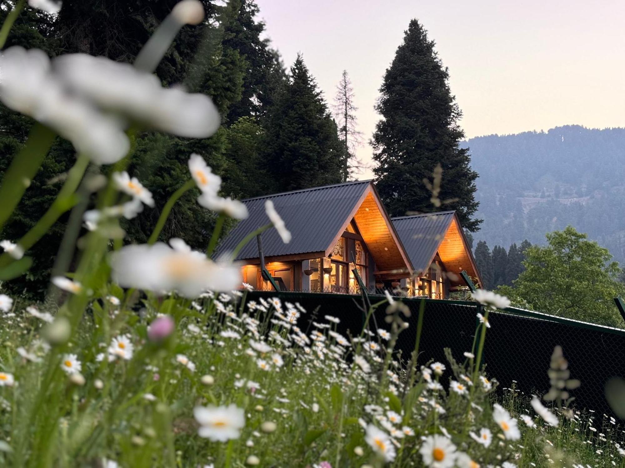 Villa Solomons Gray Tangmarg Esterno foto