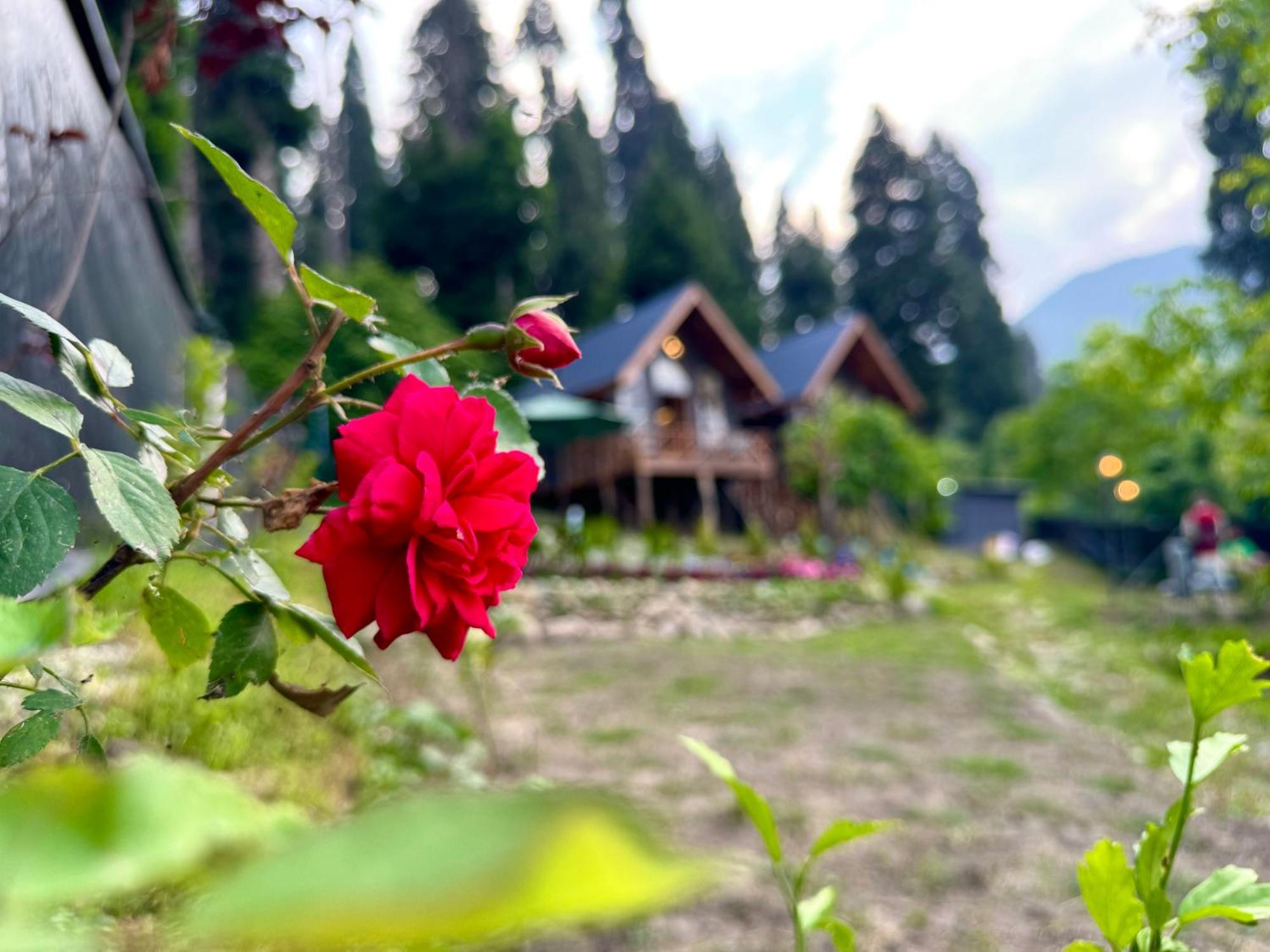 Villa Solomons Gray Tangmarg Esterno foto